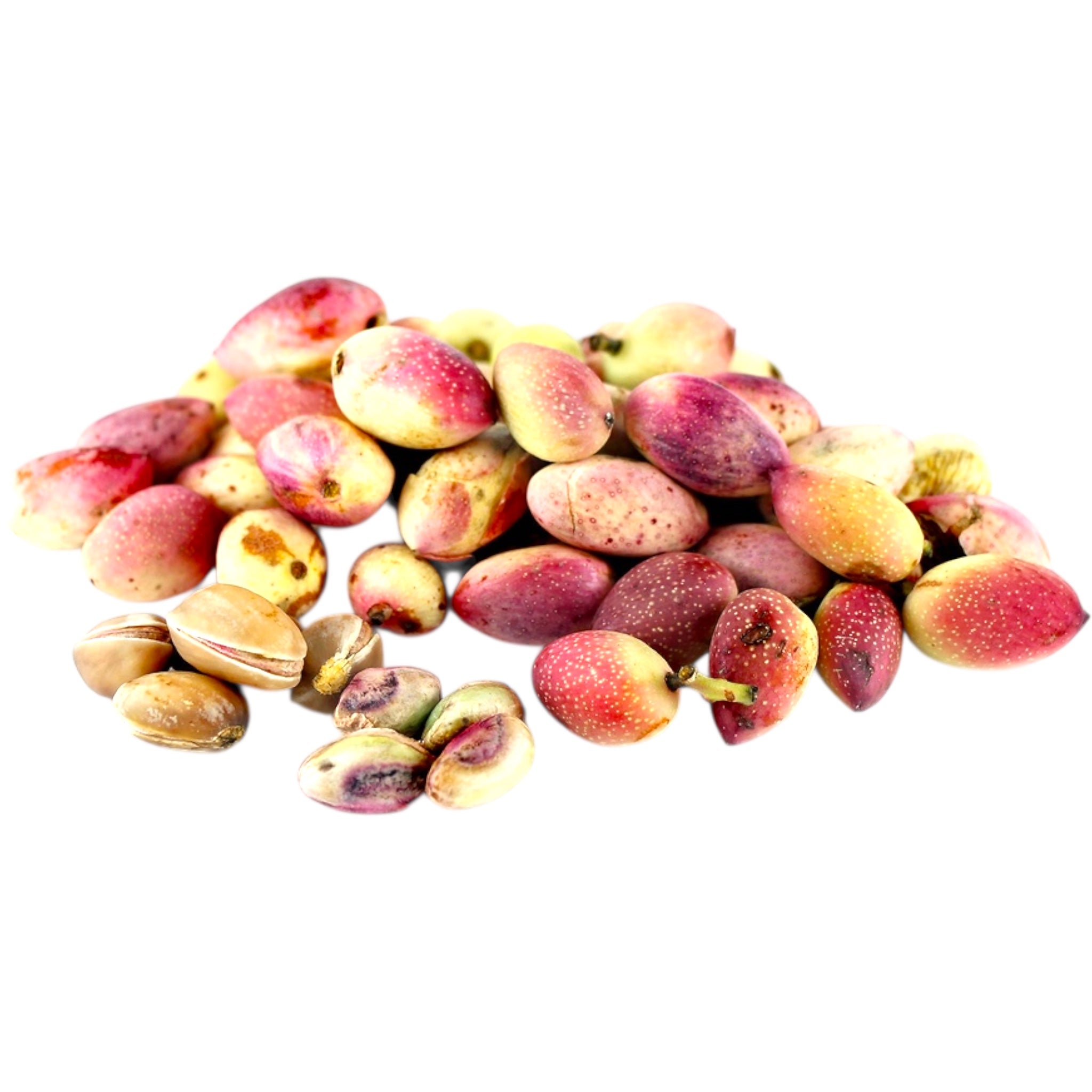 Fresh Turkish pistachio per lb - buy fresh pistachios online at ALBASHA Store.