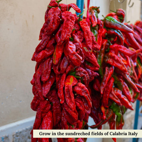 L'Oro Del Sud, Calabrian Chili Powder, Hot Chili Pepper Powder, 2.11 oz (60 g)