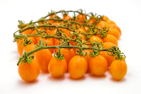 Così Com’è, Italian Yellow Datterino Tomatoes Unpeeled in Own Juice – 12.3 oz (350 g)