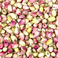 Delicious fresh Turkish pistachios per lb - buy fresh pistachios for healthy snacking at ALBASHA Store.